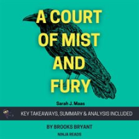 Summary__A_Court_of_Mist_and_Fury